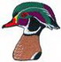 Wood Duck