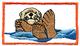 Sea Otter