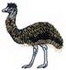 Emu