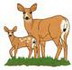 Doe & Fawn