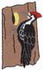 Pileated Woodpecker