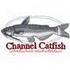 Channel Catfish