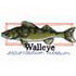 Walleye