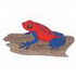 Strawberry Poison Dart Frog