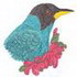 Green Honey Creeper