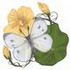 Cabbage White/ Nasturtium