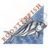 Roosterfish