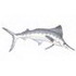 White Marlin