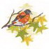 Red Siskin