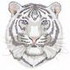 White Tiger