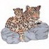 Leopards