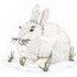 Snowshoe Hare