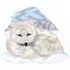 Arctic Fox