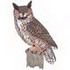 Great Horned Owl