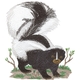 Skunk