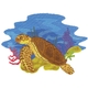 Loggerhead Sea Turtle