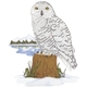 Snowy Owl