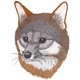 Gray Fox