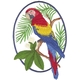 Scarlet Macaw