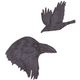 Ravens