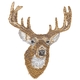 Whitetail Deer Head