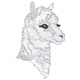 Alpaca