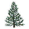 PINE TREE