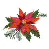 POINSETTIA