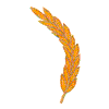 WHEAT