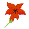 POINSETTIA