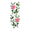 ROSE BORDER