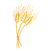 WHEAT