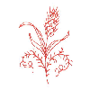 REDWORK WHEAT