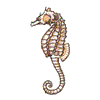 SEAHORSE