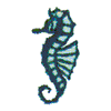 SEAHORSE