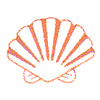 SEASHELL