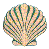 SEASHELL