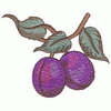 PLUMS