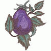 EGGPLANT