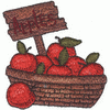 APPLES IN BASKET