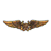 MILITARY WINGS