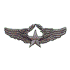 MILITARY WINGS