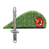 GREEN BERET AND SWORD