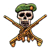 GREEN BERET SKULL CREST