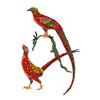 PHEASANT