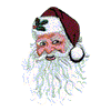 SANTA FACE