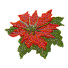 POINSETTIA