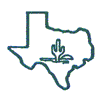 TEXAS OUTLINE W/ CACTUS