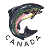 CANADA TROUT