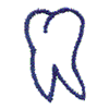 TOOTH